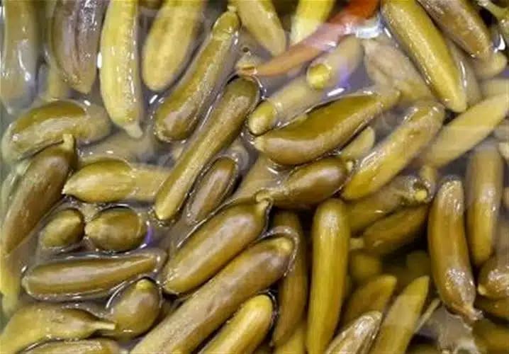 تصویر 1 از فروش خیارشور حلب عمده + قیمت خرید به صرفه